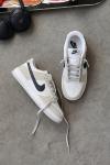 Dunk Low Pro - Taş Dolero